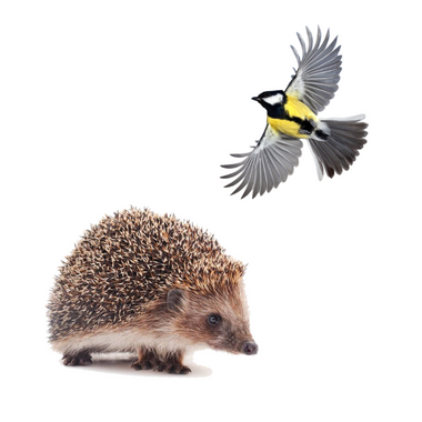 Havens & Skovens dyr og vildt