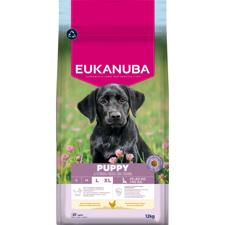 Eukanuba Puppy Large kylling 12kg