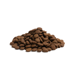 Essential Beginning Large Breed 10kg