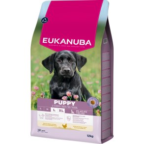 Eukanuba Puppy Large kylling 12kg