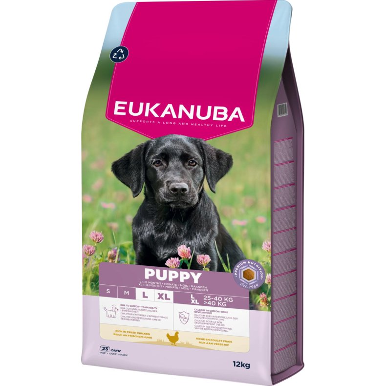Eukanuba Puppy Large kylling 12kg
