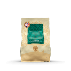 Essential Stamina 2,5kg