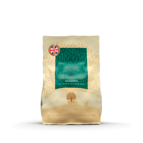 Essential Stamina 2,5kg