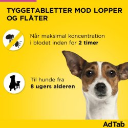 AdTab Hund 112,5mg  2,5-5,5kg
