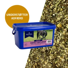 Dodson & Horrell Perfect Gentleman