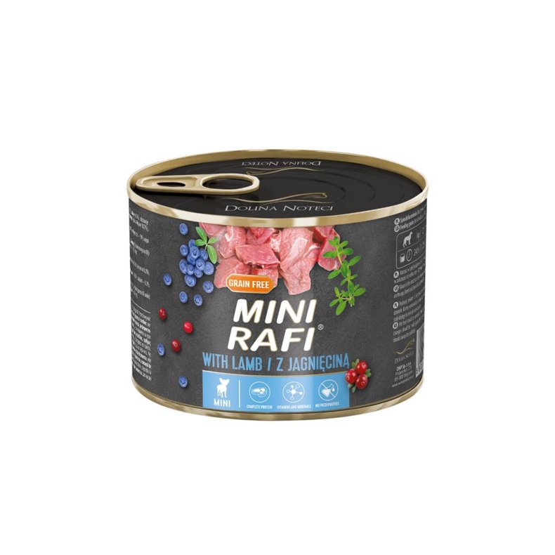 Rafi Mini lam