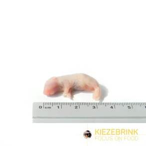 Mouse Pinks 1-2g