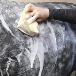 Nathalie All Black Shampoo