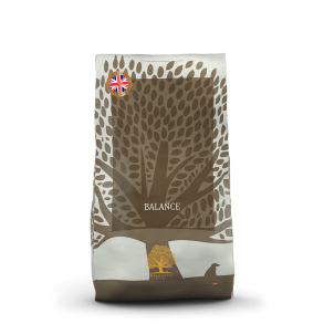 Essential Balance 10kg