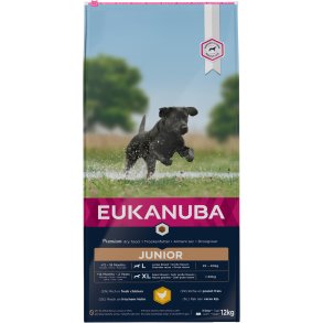 Eukanuba Junior Large kylling 12kg