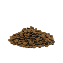 Essential Eternal Living 2,5kg