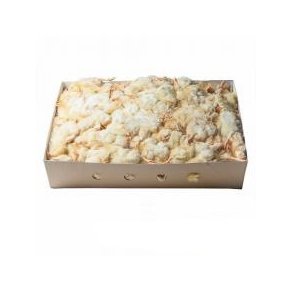 Daggamle Kyllinger 10kg