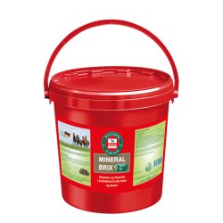 Salvana MineralBrix 8 kg.