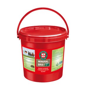 Salvana MineralBrix 8 kg.