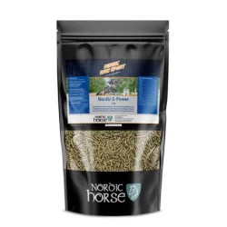 Nordic E-Power