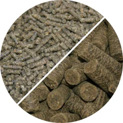 Nordic Sand exit pellets