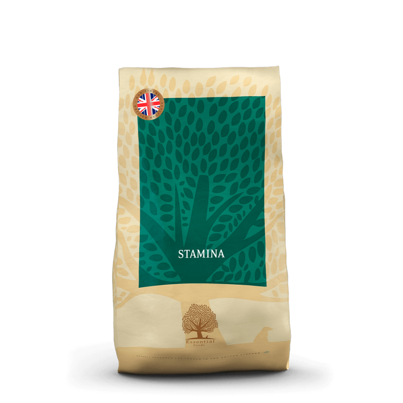 Essential Stamina 10kg