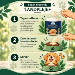 Tandpleje +