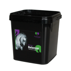 Amequ Balancer 1,5 kg