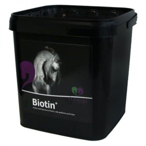Amequ Biotin+ 1,5kg.