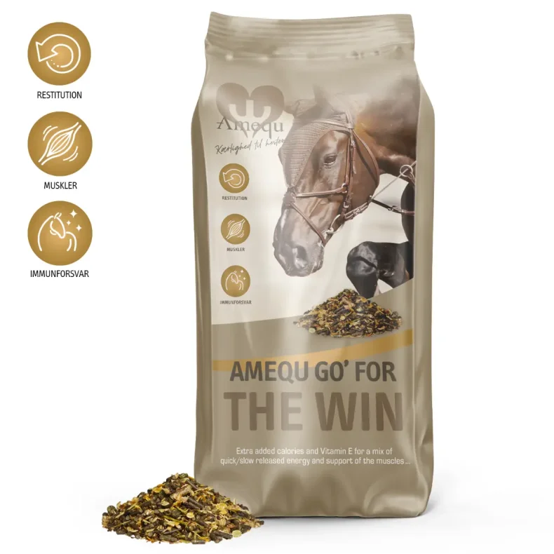 Amequ GO' For The Win