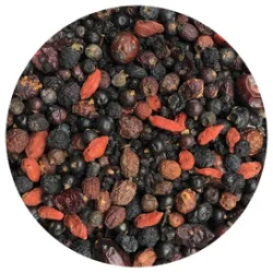 Nordic AO berry Boost