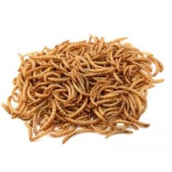 Hobby First trrede melorme 300 g.