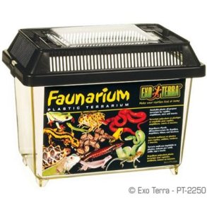 Faunarium Mini