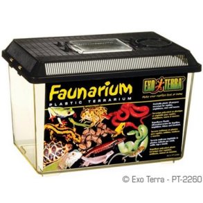 Faunarium Medium