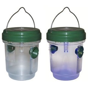 Hvepseflde Solar/Led 2 Stk.