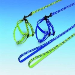 Kanin Sele + Line M. Motiv