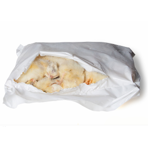 Kylling (Gallina) 1kg