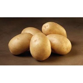 �ko Solist 1,5 kg.