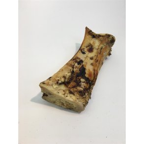 Okseben Med Marv Trret 1 stk.