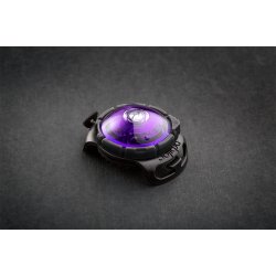 Orbiloc Dog Dual Lilla