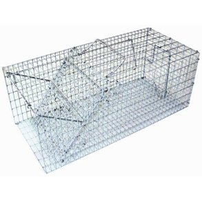 Rotteflde trdvv Enkelt