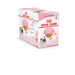 Royal Canin Health Kitten Jelly