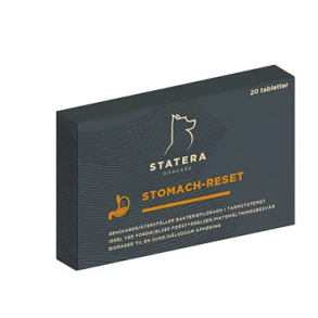 Stomach - Reset 